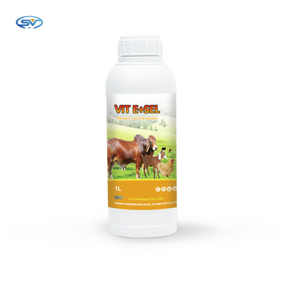 Vitamine E et médecine orale de solution de sélénium pour les petits chats et chiens 5L 1L de chevaux d'oiseaux