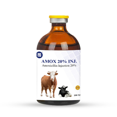 injection vétérinaire d'amoxicilline des antiparasitaires 100ml de 20% pour l'infection de bétail