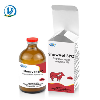 Drogues injectables vétérinaires de l'injection 5% de Buparvaquone pour des chats de chiens de chèvres de moutons de veaux de bétail